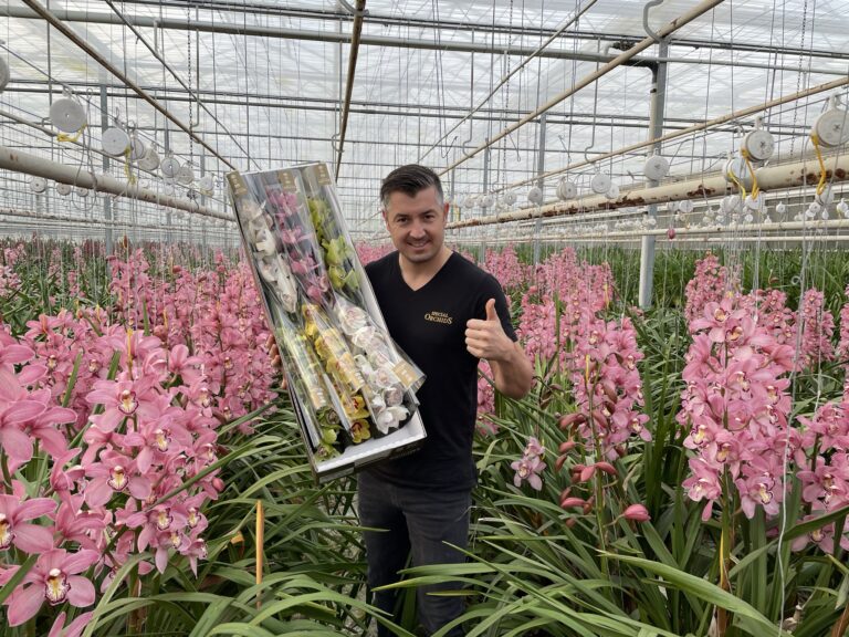 Onze Cymbidium Orchidee Teler: Wim Bos van Special Orchids