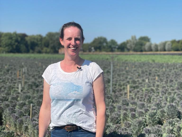 Van Aert Flowers, onze brassica teler